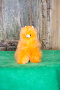 Benito Mini Alpaca