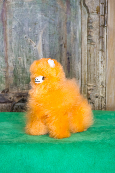 Benito Mini Alpaca