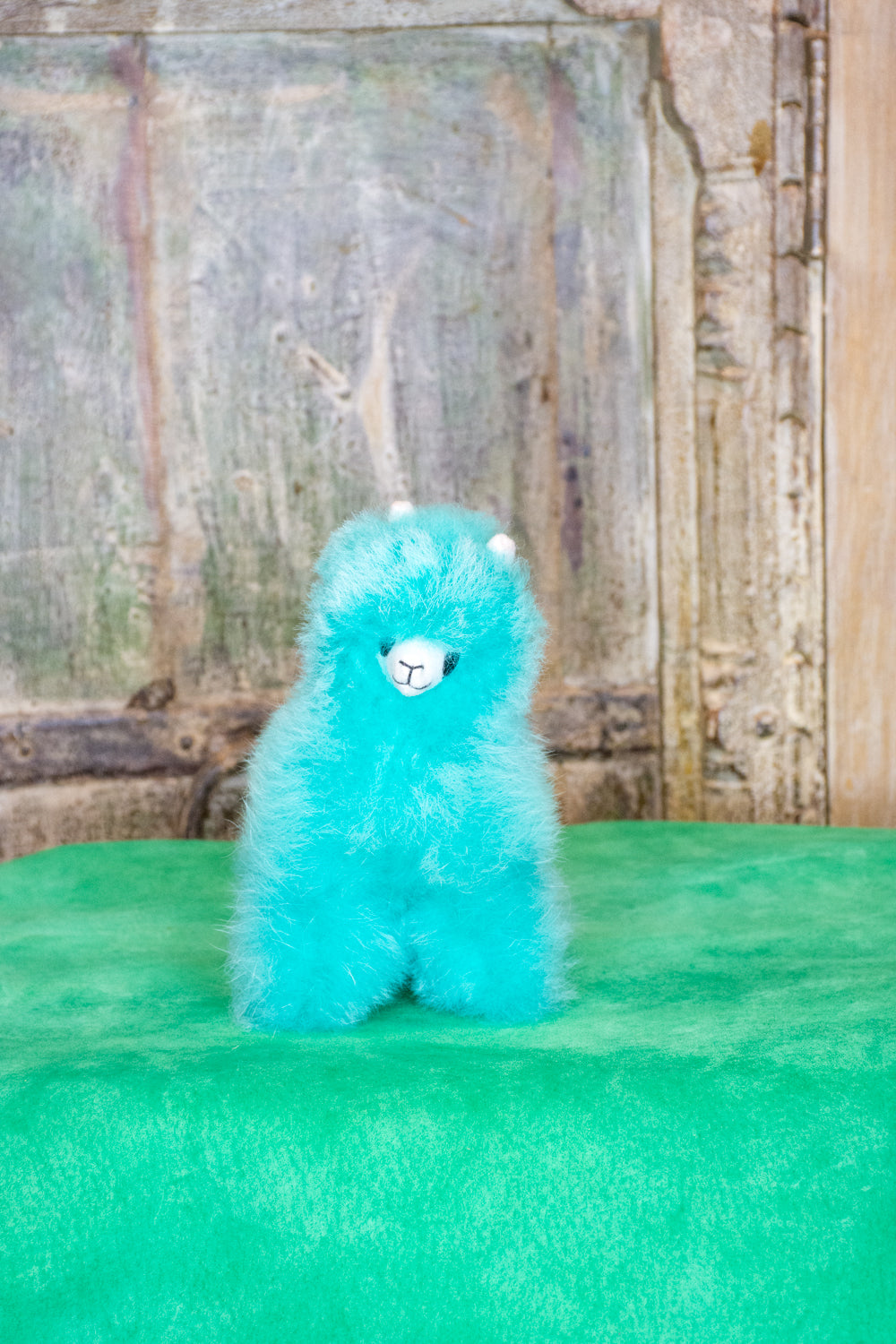 Esmeralda Mini Alpaca