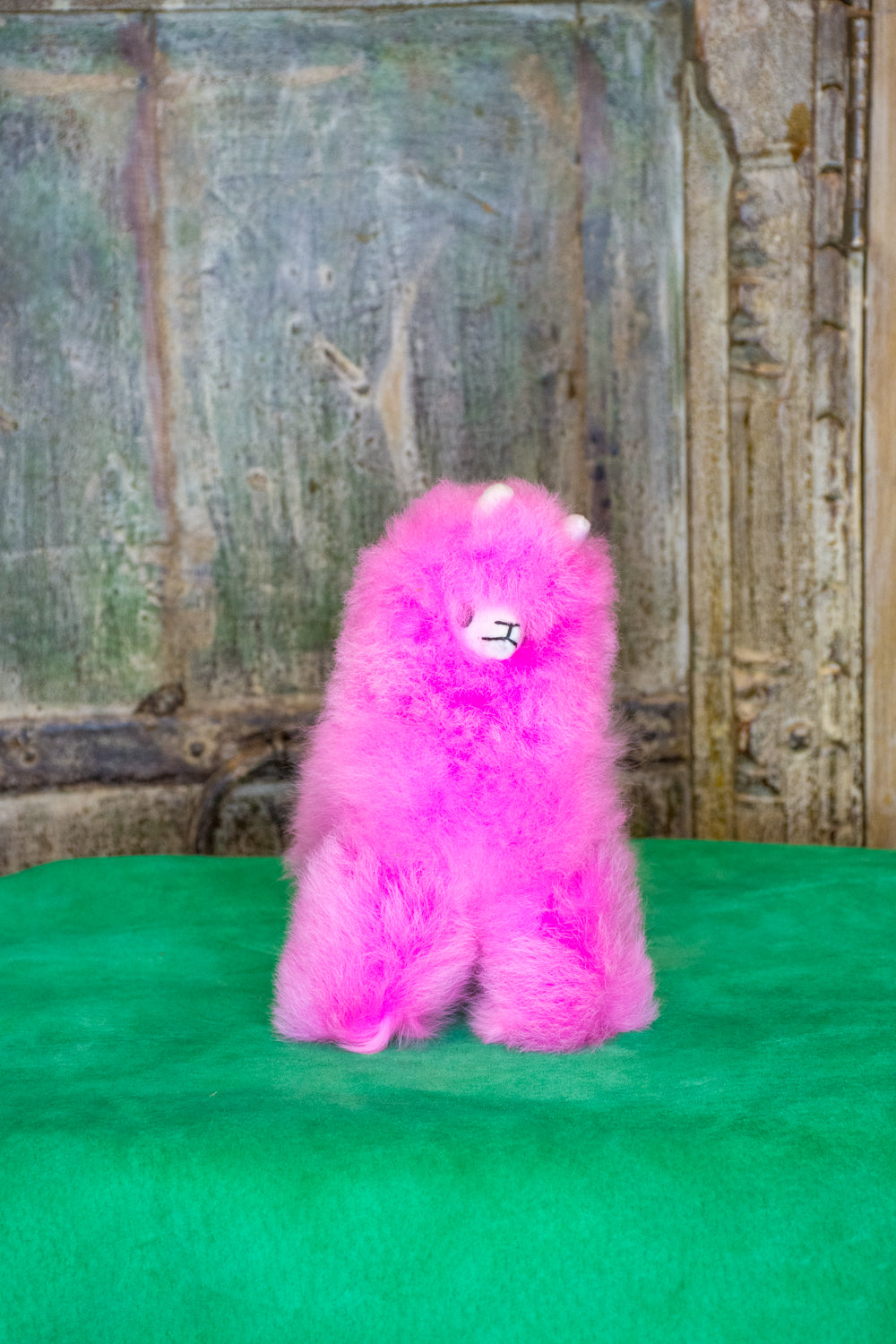 Penelope Mini Alpaca